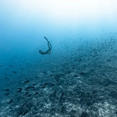 ファカラバ島のアクティビティ
