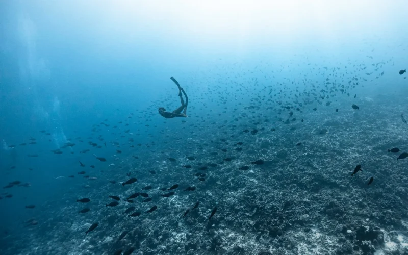 ファカラバ島のアクティビティ